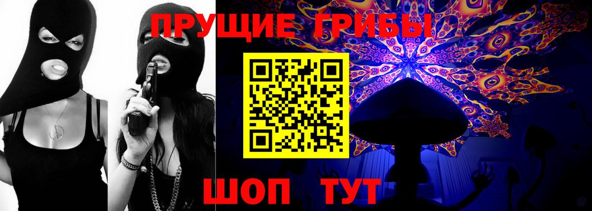 Выкса  Галлюциногенные грибы Psilocybe  купить наркотик  Вход с VPN  Галлюциногенные грибы GOLDEN TEACHER 